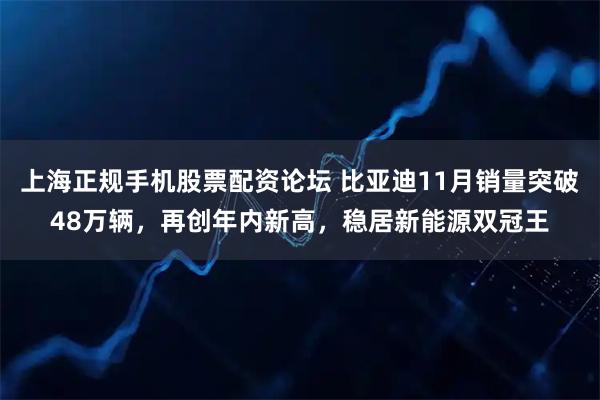 上海正规手机股票配资论坛 比亚迪11月销量突破48万辆，再创年内新高，稳居新能源双冠王