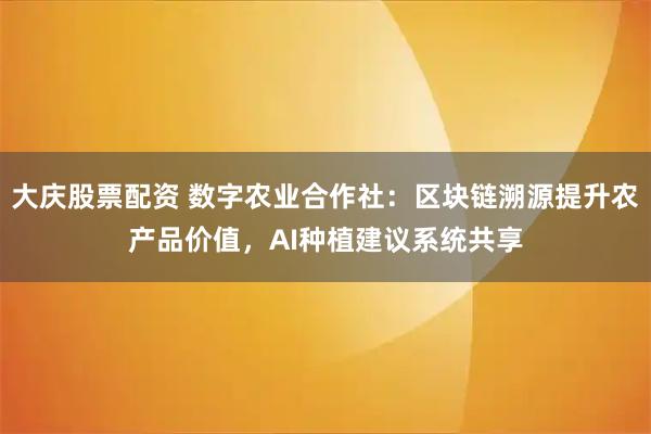 大庆股票配资 数字农业合作社：区块链溯源提升农产品价值，AI种植建议系统共享